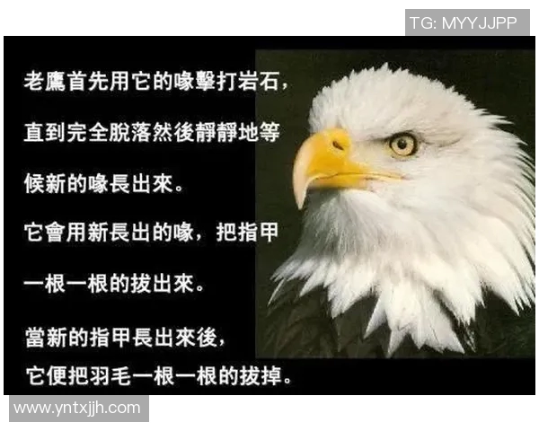 古铁雷斯的传奇人生与音乐之路：从小镇少年到国际巨星的蜕变故事