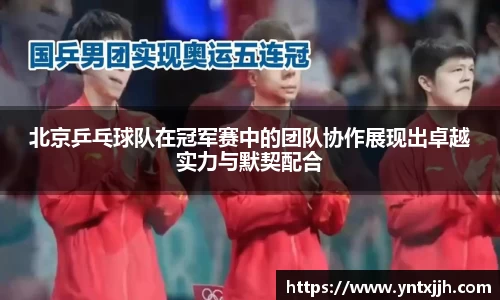 北京乒乓球队在冠军赛中的团队协作展现出卓越实力与默契配合