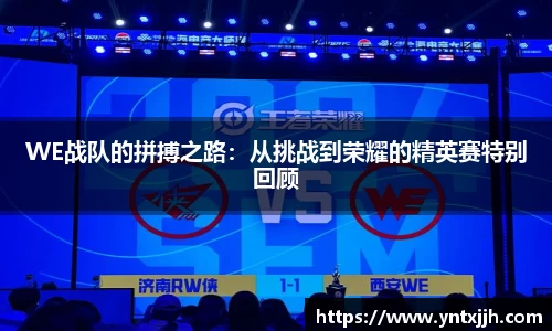 WE战队的拼搏之路：从挑战到荣耀的精英赛特别回顾