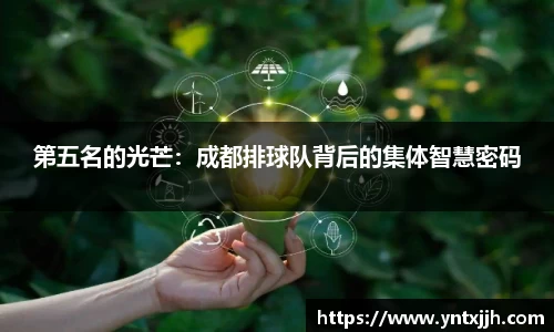 第五名的光芒：成都排球队背后的集体智慧密码