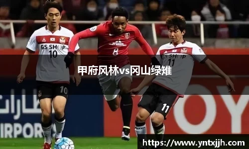甲府风林vs冈山绿雉